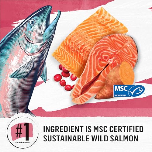 Beyond Grain Free Natural Dry Cat Food, Indoor Cat Wild-Caught Salmon & Egg - 2.26 kg Bag - Image 5