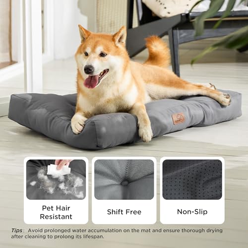BEDSURE Hundekissen kleine Hunde waschbar - 76x50cm Hundebett M für kleine, mittelgroße Hunde gepolstert Hundematte dunkelgrau in 10cm Höhe