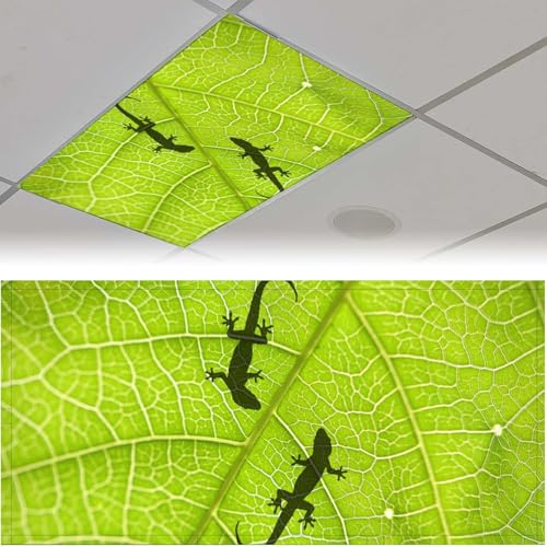 Image of 2Pcs Gecko Fluorescent Light Covers for Ceiling Lights Classroom, Magnetic Light Filters for Office, Hospitals, Home 4 X 2 Feet