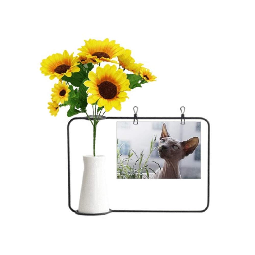 Carte de bénédiction chat gris avec tournesol artificiel