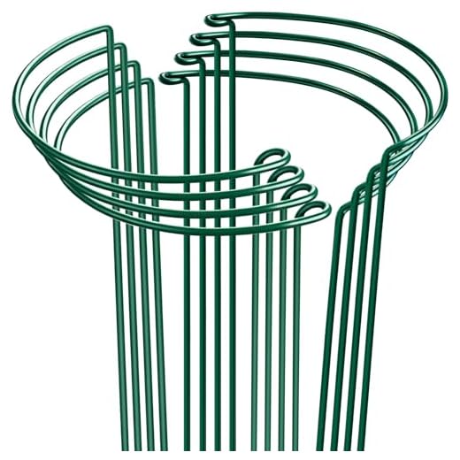HiGift 8 Pack Plant Support Stakes, Half Round Metal Garden Plant Stake Indoor Peony Cages and Supports, Green Plant Support Ring Border for Tomato,Hydrangea,Flower Outdoor (10" Wide x 15.8" High)
