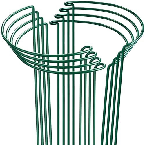 HiGift 8 Pack Plant Support Stakes, Half Round Metal Garden Plant Stake Indoor Peony Cages and...