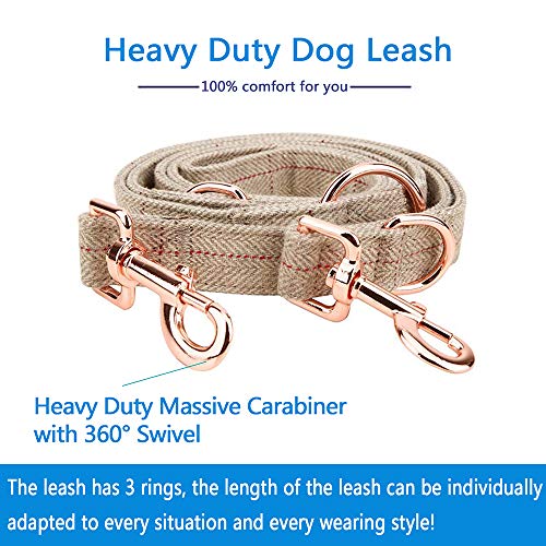 Medium-Large Big-Female Heavy-Duty Dog-Collar Leash-Set - Rose Gold 6 Foot Exceptionally Elegant Design And Adjustable In 3 Different Lengths For Medium To Large Dogs #TOP3