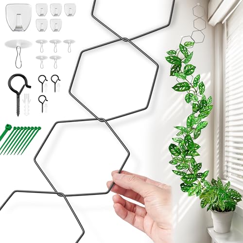 Chain Trellis for Climbing Plants - Indoor & Outdoor House