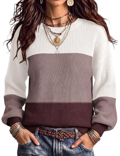 Zeagoo Womens Color Block Sweaters Plus Size Fall 2025 Crew Neck Chunky Sweater for Women - image 1