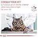 Royal Canin Veterinary Diet Feline Renal Support T Adult Thin Slices in Gravy Cat Food, 3 oz (Pack of 6)