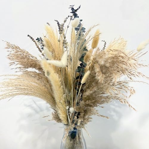 Erba di Pampa 100 Pezzi,Fiori Secchi Decorativi,Fiori Secchi Naturali,Fiori Secchi