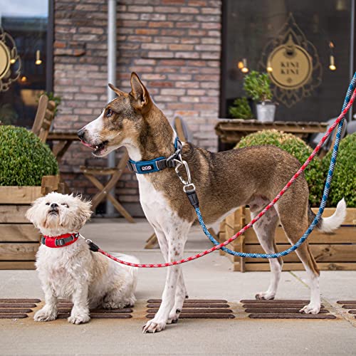 DOG Copenhagen Hundehalsband V2 Urban Explorer Collar Hunting Green Größe XS