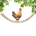 Vehomy Chicken Coop Toy Chicken Toys for Hens Natural Wood Chicken Ladder Chicken Swing Chicken Perch for Birds Poultry Rooster Chicks L