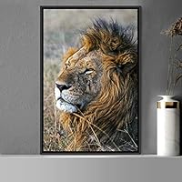Framed Canvas Wall Art Lion Animals Chic Dramatic Lion Living Room Multicolor Photography - 16x24 inches