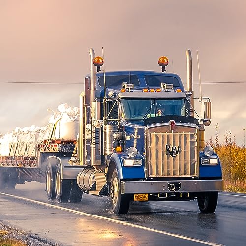 Retoo Rundumleuchte Warnleuchte 12 und 24 Volt, Rundumkennleuchte Blinkleuchte, Warnlicht Orange, Rundumlicht, Wasserdicht, Warnleuchten Staubdicht für Gabelstapler, Traktor, Golfwagen, Traktor
