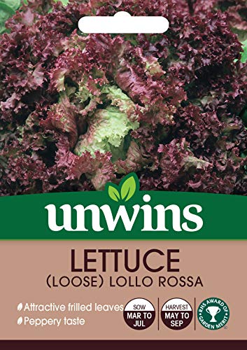 Unwins 30310622 Lettuce (Loose) Lollo Rossa Seeds, Clear