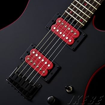 Progauge by SCHECTER エレキギター SCHECTER progauge シェクター プロゲージ 7弦 ギター