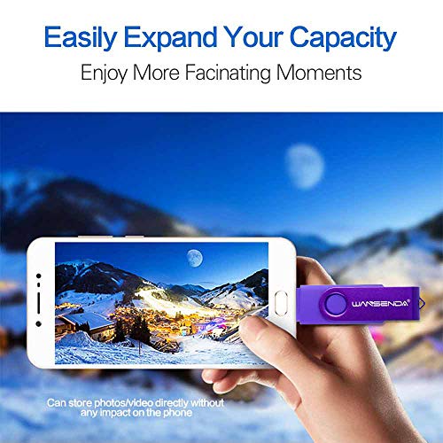 Wansenda Otg 2 In 1 Micro Usb Flash Drive 16Gb 32Gb 64Gb 128Gb 256G Usb Thumb Drive For Android Devices/Pc/Tablet/Mac (64Gb, Purple) #TOP3