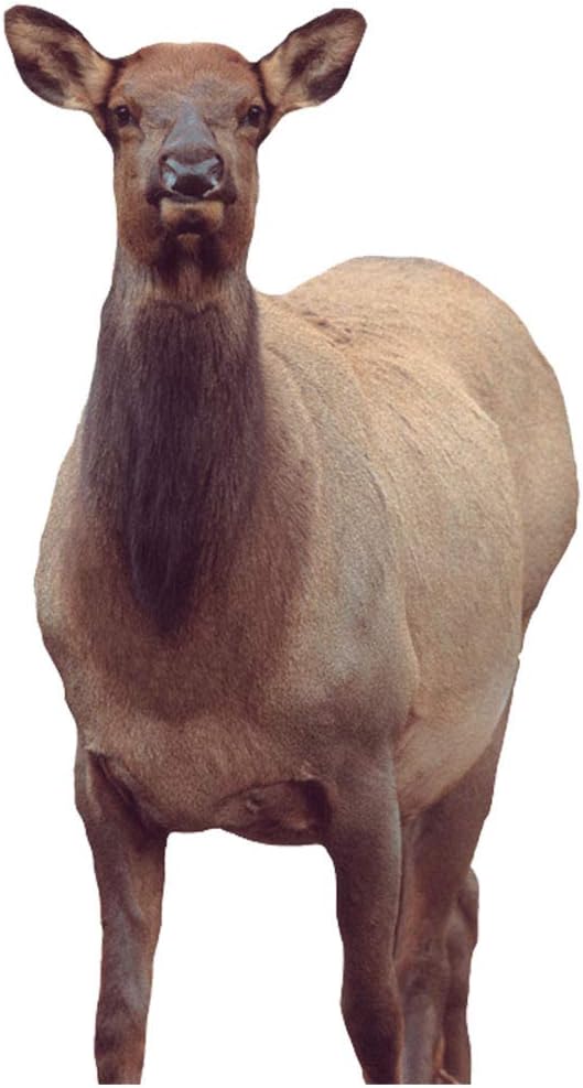 Montana Decoy Eichler Elk