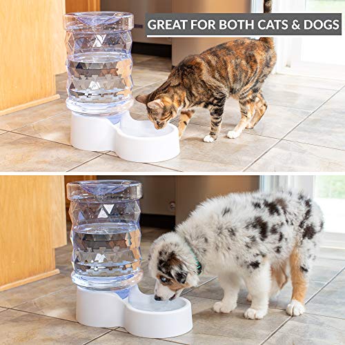Petfusion H2O Gravity Pet Water Dispenser. Durable 2.5 Gallon Water Feeder. Automatic Water Station For Cats & Small, Medium, Large Dogs, Transparent (Pf-Gw1) #TOP2