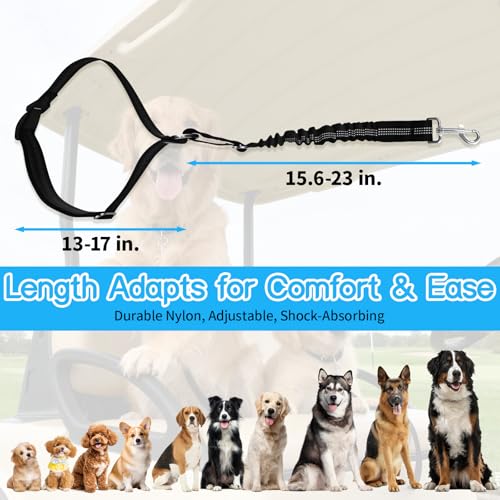 Golf Cart Dog Seat Leash