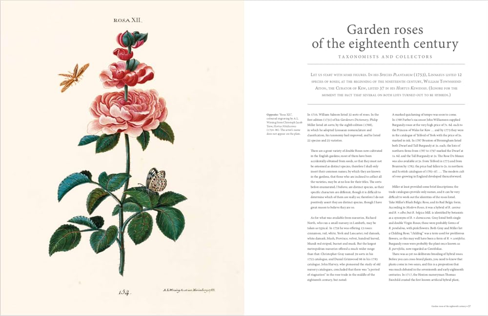 RHS The Rose: The history of the world's favourite flower in 40 roses