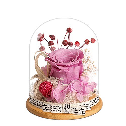 KING DOO Handmade Preserved Real Rose, Upscale Exquisite Gift Flowers, Eternal Life Never