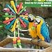 MEWTOGO Bird Parrot Chewing Foraging Toys for Conures African Grey Parrot Toy