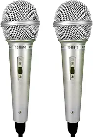 2 Microfones Prata Profissional com Fio para Igrejas Eventos