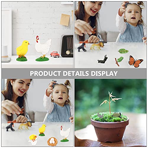 TOYANDONA 4 Conjuntos de Modelos de Ciclo de Vida de Borboletas Tartaruga Sapos Galo Animal Figurinh