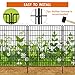 15 Panels No Dig Fence with Gate, 32 in(H) X 36 ft(L) Garden Decorative Fence Animal Barrier for Dogs, Rustproof Metal Garden Edging Border for Outdoor, Yard, Patio, Black