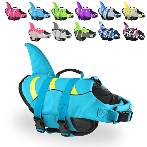 Best Life Jackets For French Bulldogs Just HEALTHIER Frenchies!