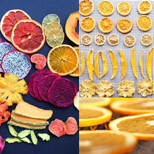 6 PCS Square Silicone Dehydrator Sheets Non-stick Fruit Dehydrator Mats, Reusable Steamer Mat Mesh Sheet for Fruit Dryer
