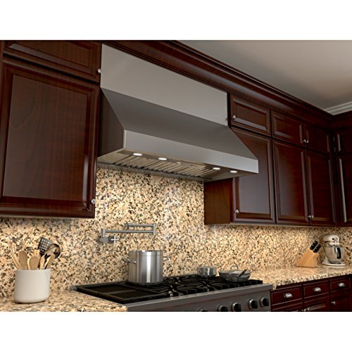Zephyr Ak7548Bs 48" Range Hood #TOP2