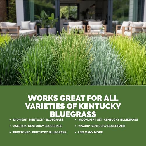 Fertilizante líquido para césped Kentucky Bluegrass 8 oz miniatura 5