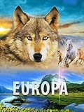  Europa