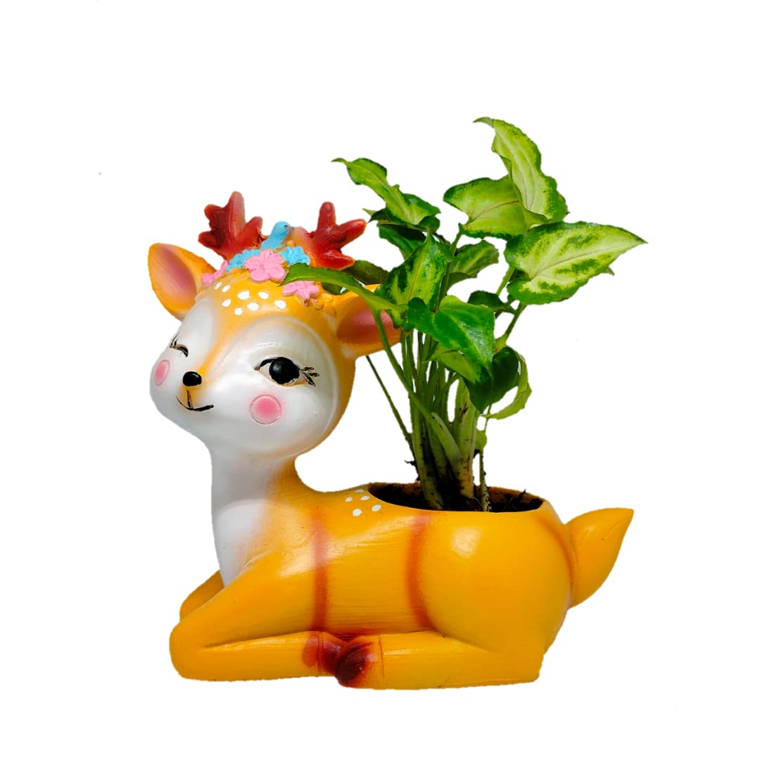 Guuchuu Deer Resin Pot with Live Syngonium Indoor Plant (1 Pot with Plant) (B09LSK9DMV) Amazon Price History, Amazon Price Tracker