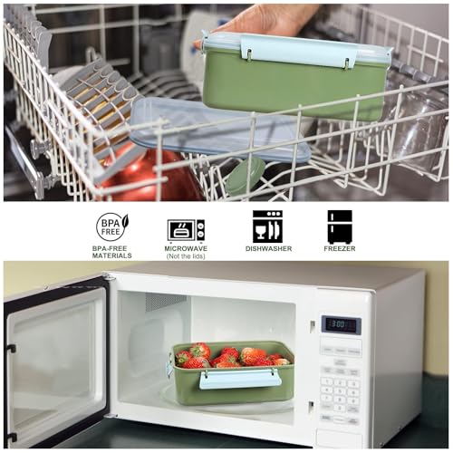 Shopwithgreen BENTO BOXES 3 Pack Salad Food Storage Container To Go, 47 Oz Bento Box thumb #6