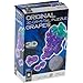 BePuzzled Original 3D Crystal Jigsaw Puzzle - Fruit Grapes Assembly Brain Teaser, Fun Model Toy Food Gift Decoration for Adults & Kids Age 12 and Up, 41 Pieces (Level 2)