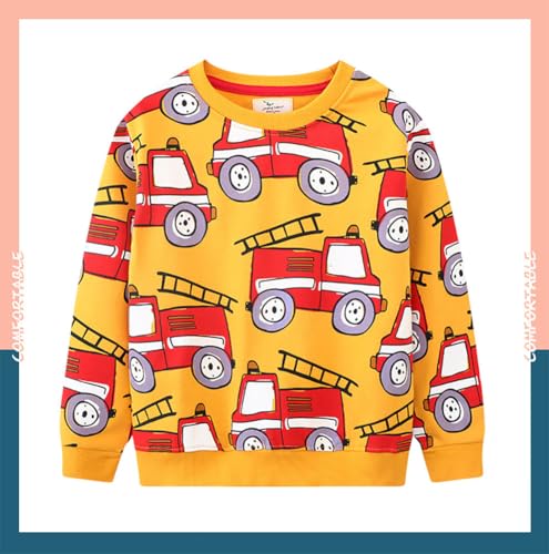 Boys Sweatshirts Casual Sweatshirts Cotton Sweatshirts Long Sleeve T-shirts Crew Neck Cartoon Tops for Boys-643