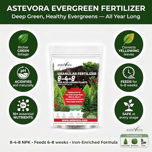 Image of ASTEVORA Evergreen Fertilizer - All-Purpose Granular Plant Food for Outdoor Trees and Shrubs, Azaleas, Magnolias, Pines & Arborvitae - Slow-Release Formula (4 quarts)