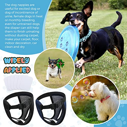 2 Pack Hündinnen Läufigkeitshose Waschbare Schutzhöschen Wiederverwendbare Hundewindeln Hundehose mit 6 Damenbinde Verstellbare Schutzhose, für Weibchen Hunde Läufigkeit Schwarz und Blau (S)