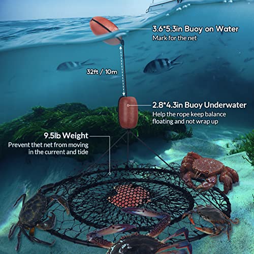 QualyQualy 30″ Crab Ring Trap Bait with Fishing Buoy Marker Floats Preventing Winding Floats 16.