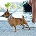 3 Stück Hundehalsband und Leine Set, Welpenhalsbänder mit Leinee, Verstellbares Hundehalsband mit Leine Weich Welpen Schnellverschluss Nylon Haustier Halsband für Kleine Hunde Mittlere