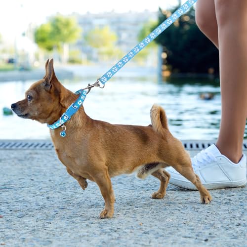 3 Stück Hundehalsband und Leine Set, Welpenhalsbänder mit Leinee, Verstellbares Hundehalsband mit Leine Weich Welpen Schnellverschluss Nylon Haustier Halsband für Kleine Hunde Mittlere