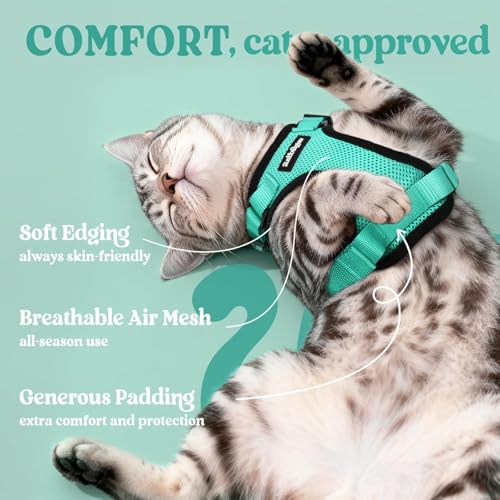 Image of rabbitgoo Cat Harness and Leash Set, Escape Proof Vest, Emerald | Soft Breathable Mesh, Easy Adjustable Fit, Snap Buckles, Sturdy Clip, Reflective Strips, for Average Cats Walks, S