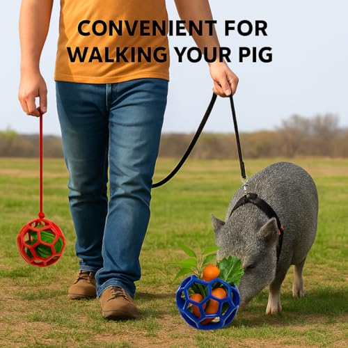 Image of 2Pcs Pig Enrichment Toys, Treat Ball Toy for Mini Pigs and Farm, Hanging Chew Ball Enrichment Toy with Rope for Pigs to Play with