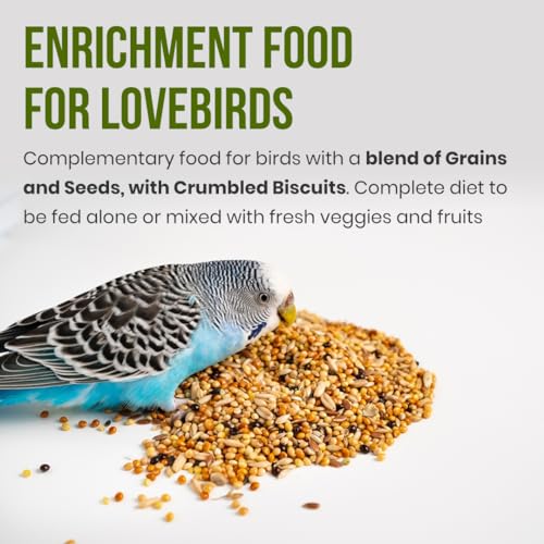 Brandsfinity 800g Premium Bird Feed for Budgies and Shell Parakeets – Nutrient-Rich Bird Food Blend with Essential Seeds for Vibrant Plumage and Energy