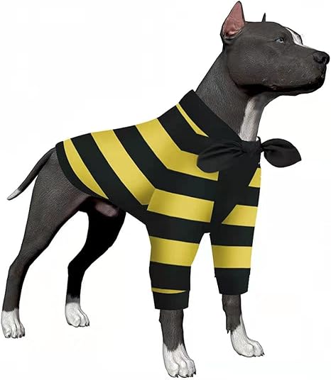 big dog shirts amazon