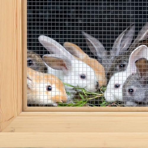 Amagabeli 1.2m X 15m Hasendraht Volierendraht 6.3x6.3mm Feinmaschig Wühlmausgitter Für Hochbeet Zaun Hühnerdraht Maschendrahtzaun Kaninchendraht Verzinkt Drahtgitter Feuerverzinkt