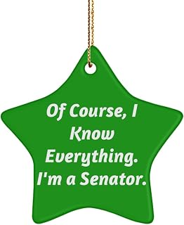 Sarcasm Senator Star Ornament, of Course, I Know Everything. I'm a Senator, Present for Colleagues, New Gifts from Team Leader, Congressional Gifts, Legislative Gifts, Diplomatic Gifts, Executive