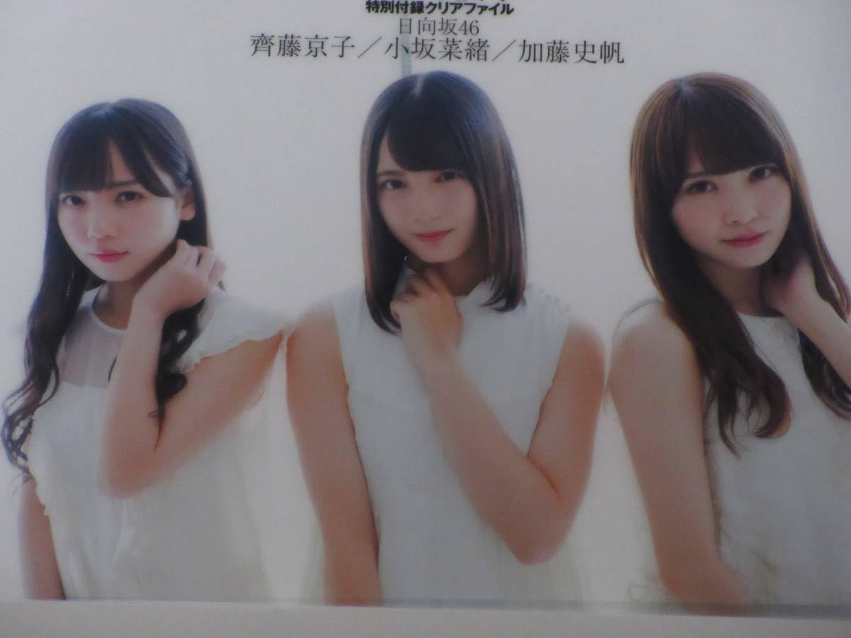 Amazon.co.jp: 日向坂46 小坂菜緒×齊藤京子×加藤史帆 クリアファイル