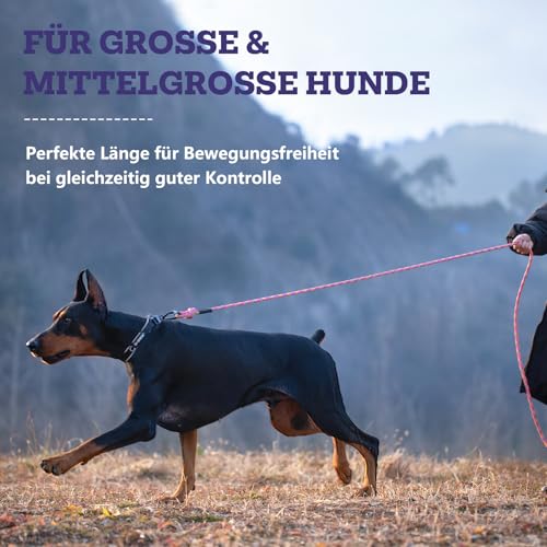 LUCKY LUCY Hundeleine 3m, für mittel & große Hunde (bis 80kg), reflektierend, mit starkem Aluminium sicherheitskarabiner, schöner Fuchsia
