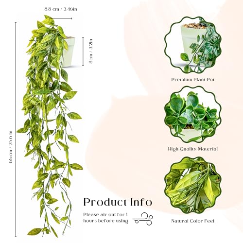 DREAMS 21 3-pack Fake Hanging Plants Artificial Indoor/Outdoor, White and Green, Large - Image 2